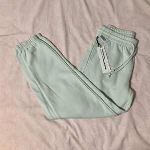 Aritzia TNA cozy boyfriend sweatpant
